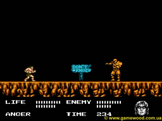 Скриншот игры Werewolf: The Last Warrior | Dendy (NES) | Воин-волк